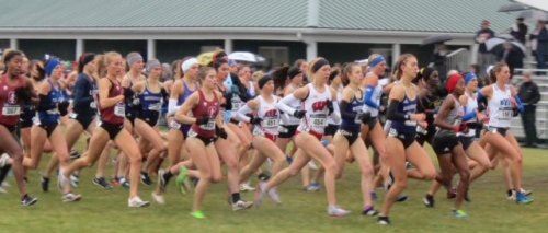 NCAA_XC_Women_Early_Pack_Cropped_23-Nov-2019_David_Monti.jpg