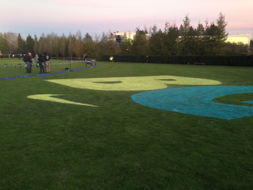 2013-11-23 16.46.34.jpg