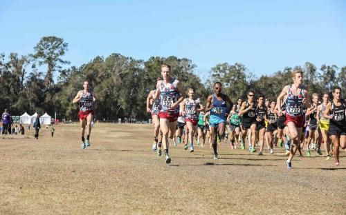 HOKA ONE ONE XC 2015.jpg