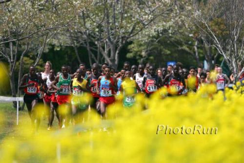 JrMenField-Flowers-WXC06.jpg