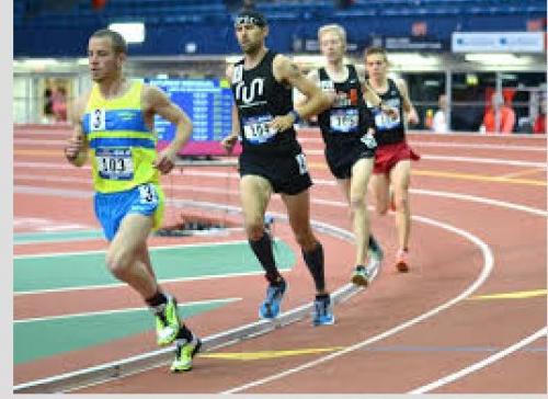 Tony Migliozzi suburbanite.com .jpg