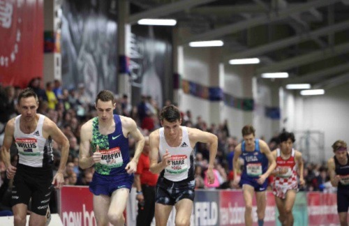 Nick Willis lolo 1.jpeg