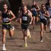 Teams Ready to Clash at Sound Running’s Fitness Bank Cross Champs (December 1, 2022), from World Athletics