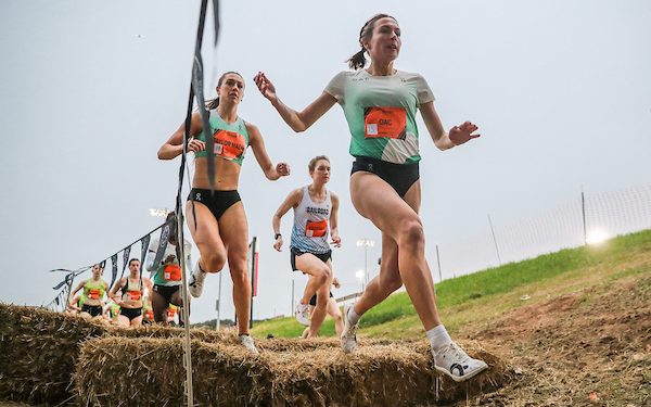 Coffee with Larry, for Wednesday, December 21, 2022, Learning from Observation