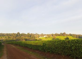 Why the 2023 Boston Marathon will be unchartered territory for Eliud Kipchoge