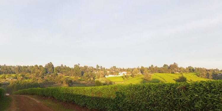 Why the 2023 Boston Marathon will be unchartered territory for Eliud Kipchoge