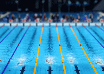 Paris 2024: YOUR CHANCE TO ENJOY THE OLYMPIC GAMES