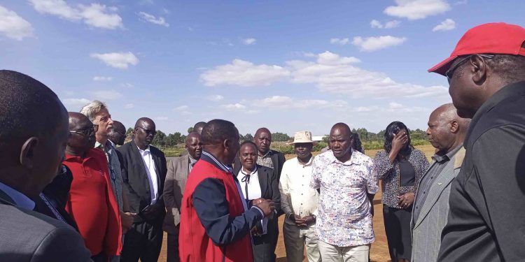 The Sirikwa Classic World Cross Country Tour is expected to be bigger this year