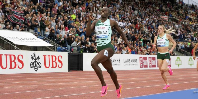 2023 RunBlogRun Recover from Track Season, Week Two, Day 6…an easy day