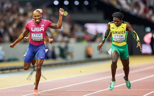 WC / Day Six: Something For Everybody