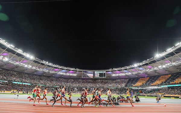 Coffee/Goulash with Larry, Talking in a Taxi, Loving Budapest, Five Days of Goulash