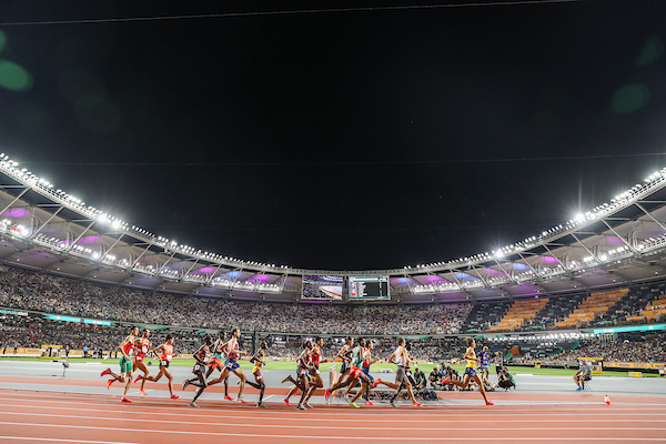 Coffee/Goulash with Larry, Talking in a Taxi, Loving Budapest, Five Days of Goulash