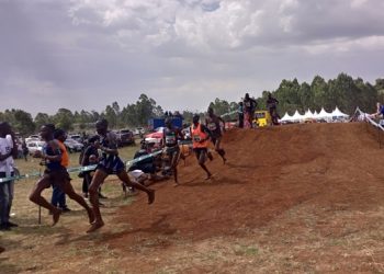 Excitement builds up towards The Great Chepsaita Cross Country Run next weekend