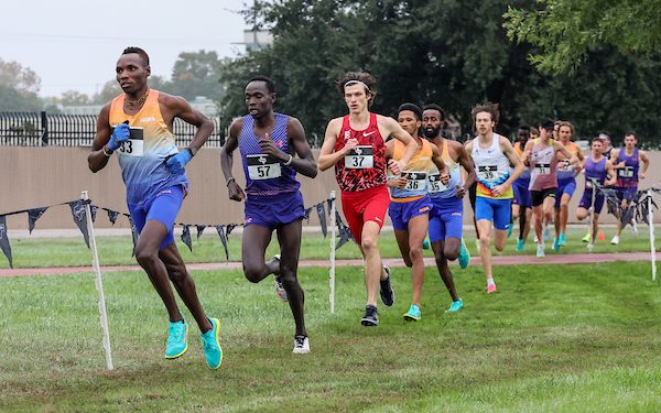 2023 RunBlogRun Fall Cross Country Training & Racing, Week 14, Day 3, Wednesday is a recovery day…