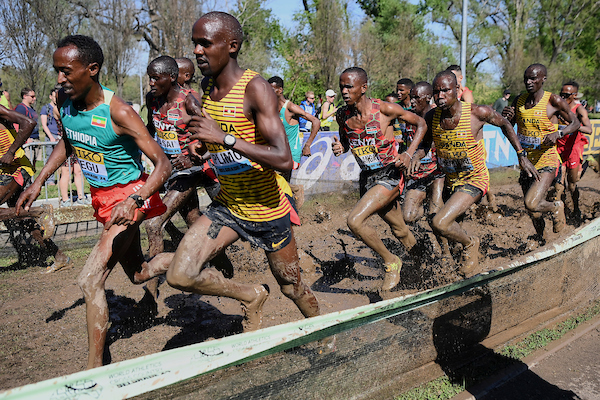 Coffee with Larry, March 30, 2024, The World Cross Country in Belgrade, Serbia, some thoughts