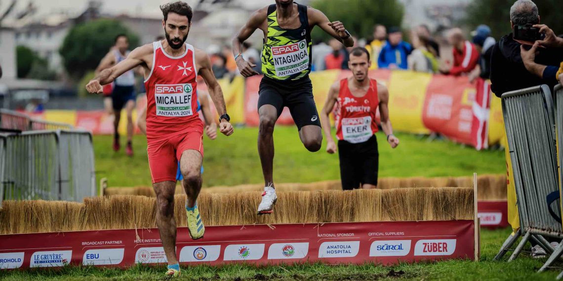 2024 Fall Cross Country Training & Racing Program, December 11, 2024, Week 13, Day 3, Final week of cross country, Wednesday is easy!