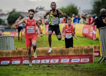 2024 Fall Cross Country Training & Racing Program, December 11, 2024, Week 13, Day 3, Final week of cross country, Wednesday is easy!