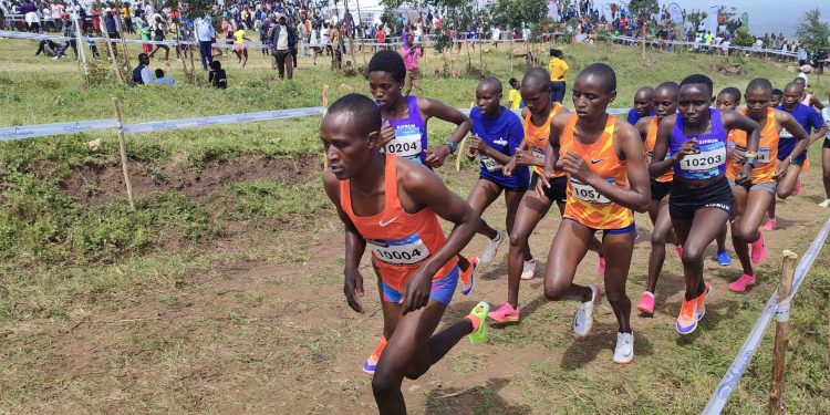 The Great Chepsaita Cross Country Run: What running can do to a community