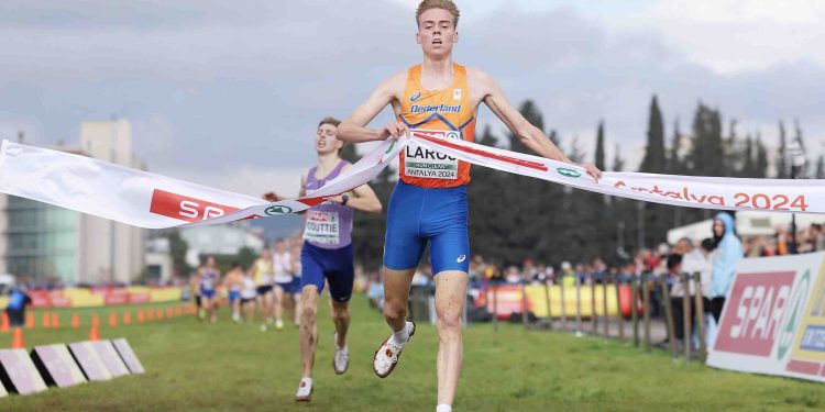 2024 Fall Cross Country Training & Racing Program, December 11, 2024, Week 13, Day 3, Final week of cross country, Wednesday is easy!