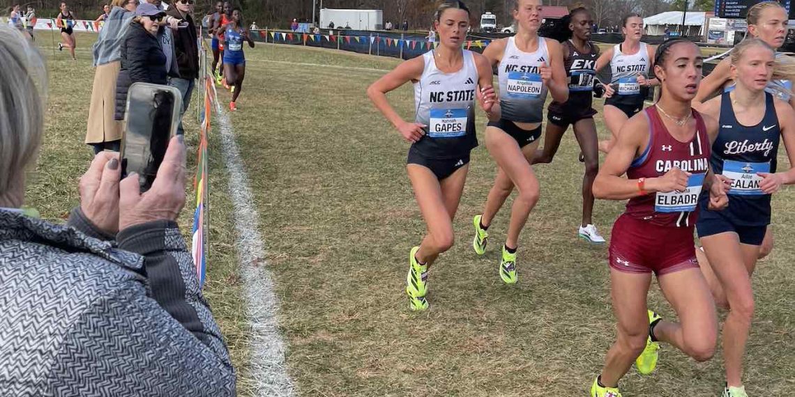 Panorama Falls, Part II, Watching the SouthEast Regional, by Orrin Konheim for RunBlogRun