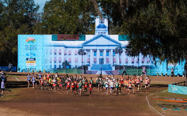 Solid GB Performances at Tallahassee